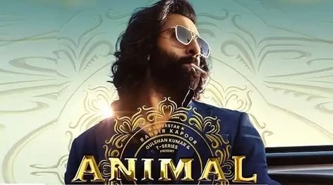 Animal Movie Review : Box Office Collection